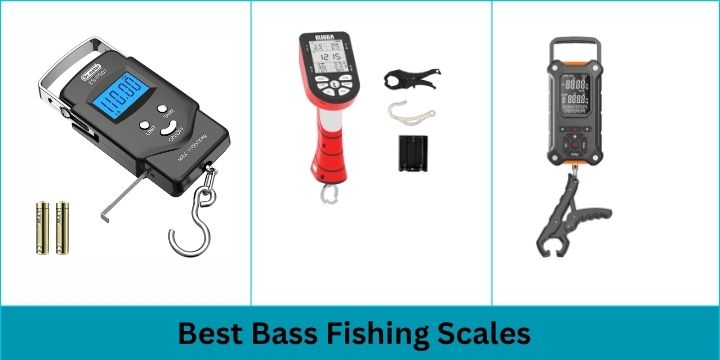 Best Bass Fishing Scale