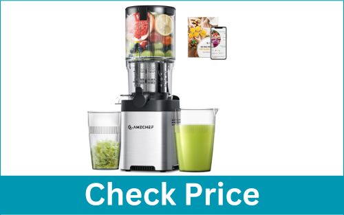 AMZCHEF 5.4″ Self-Feeding Stainless Steel Cold Press Juicer