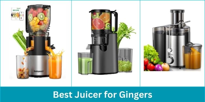 Best Juicer for Ginger