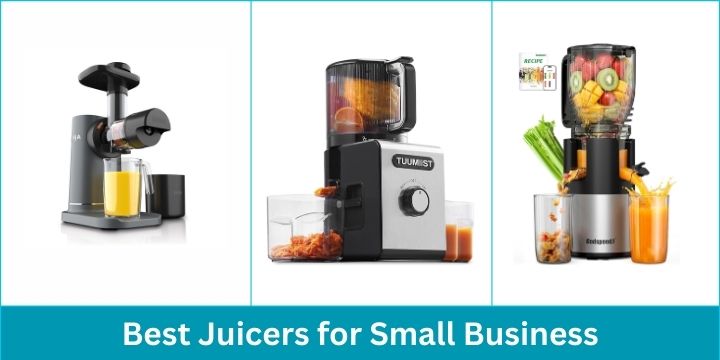 Best Juicers for Small Business