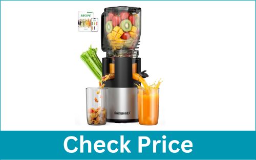 GODSPEEDS 5.8” Large Feed Slow Masticating Cold Press Juicer