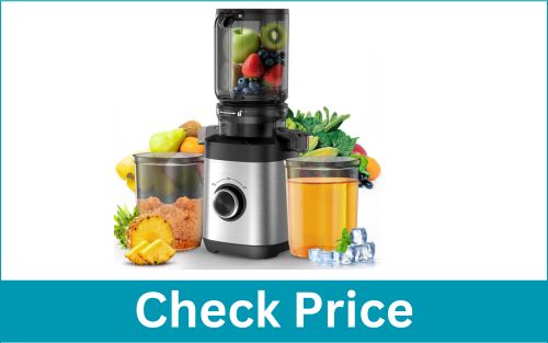 PSIIDAN Wide Chute Slow Masticating Cold Press Juicer