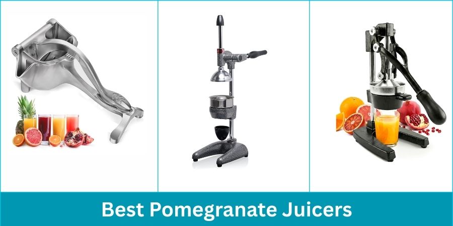 Best Pomegranate Juicers