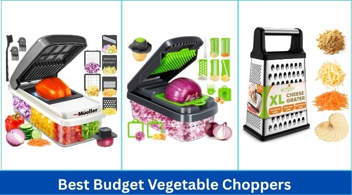 Best Budget Vegetable Choppers