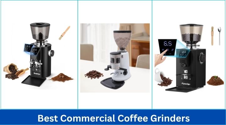 Best Commercial Coffee Grinders