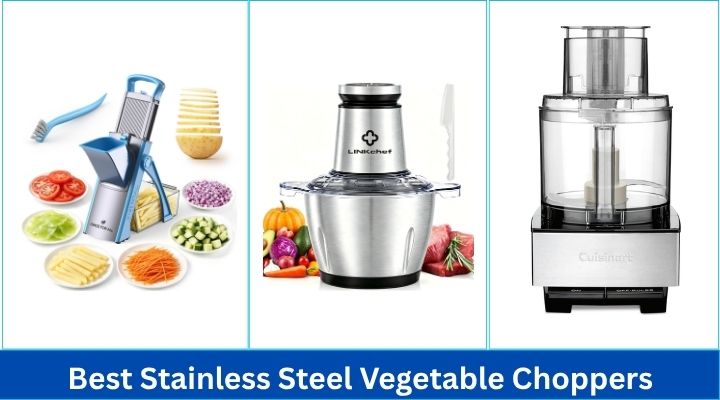 Best Stainless Steel Vegetable Choppers